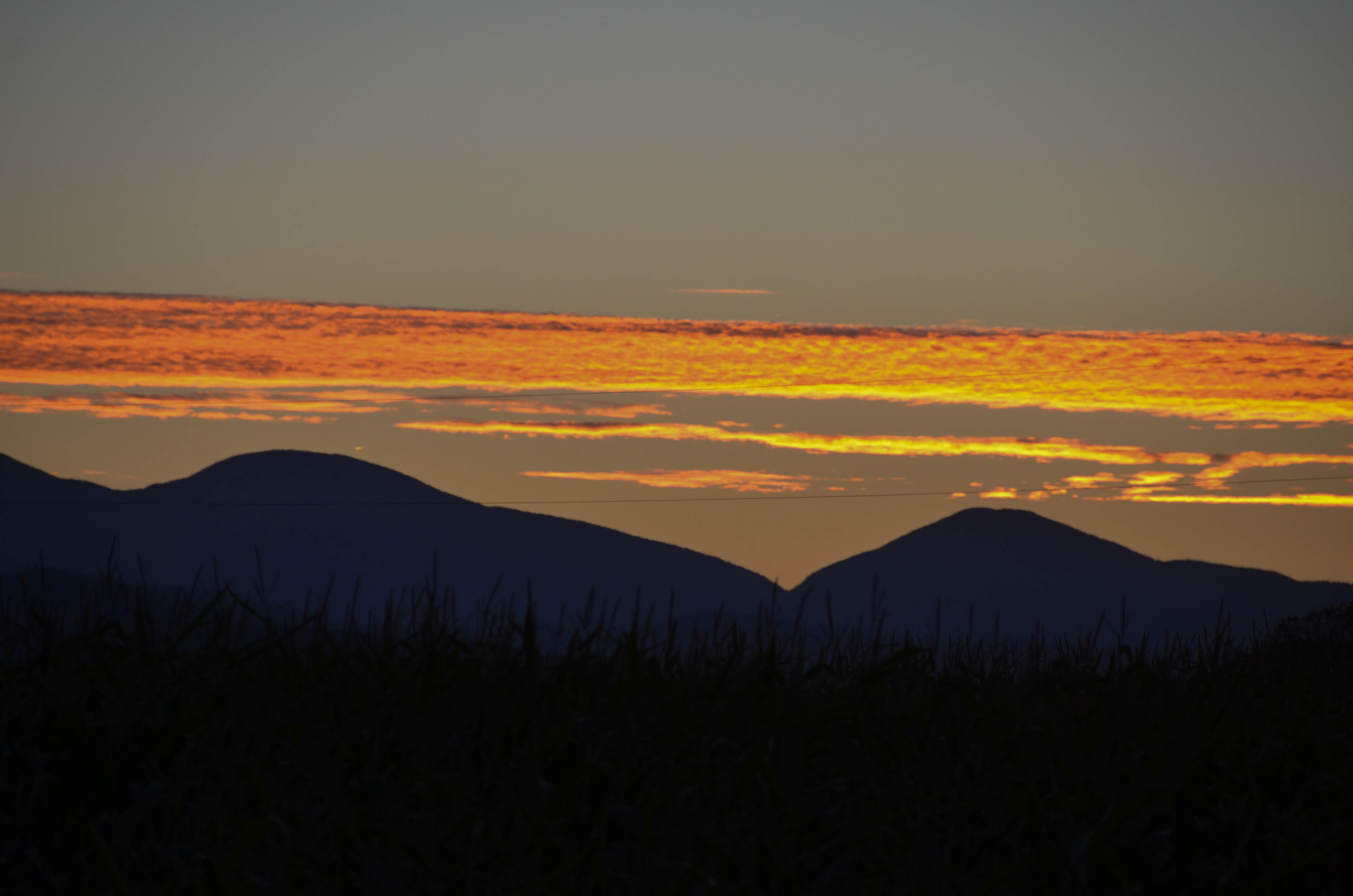 Bright clouds before dark.