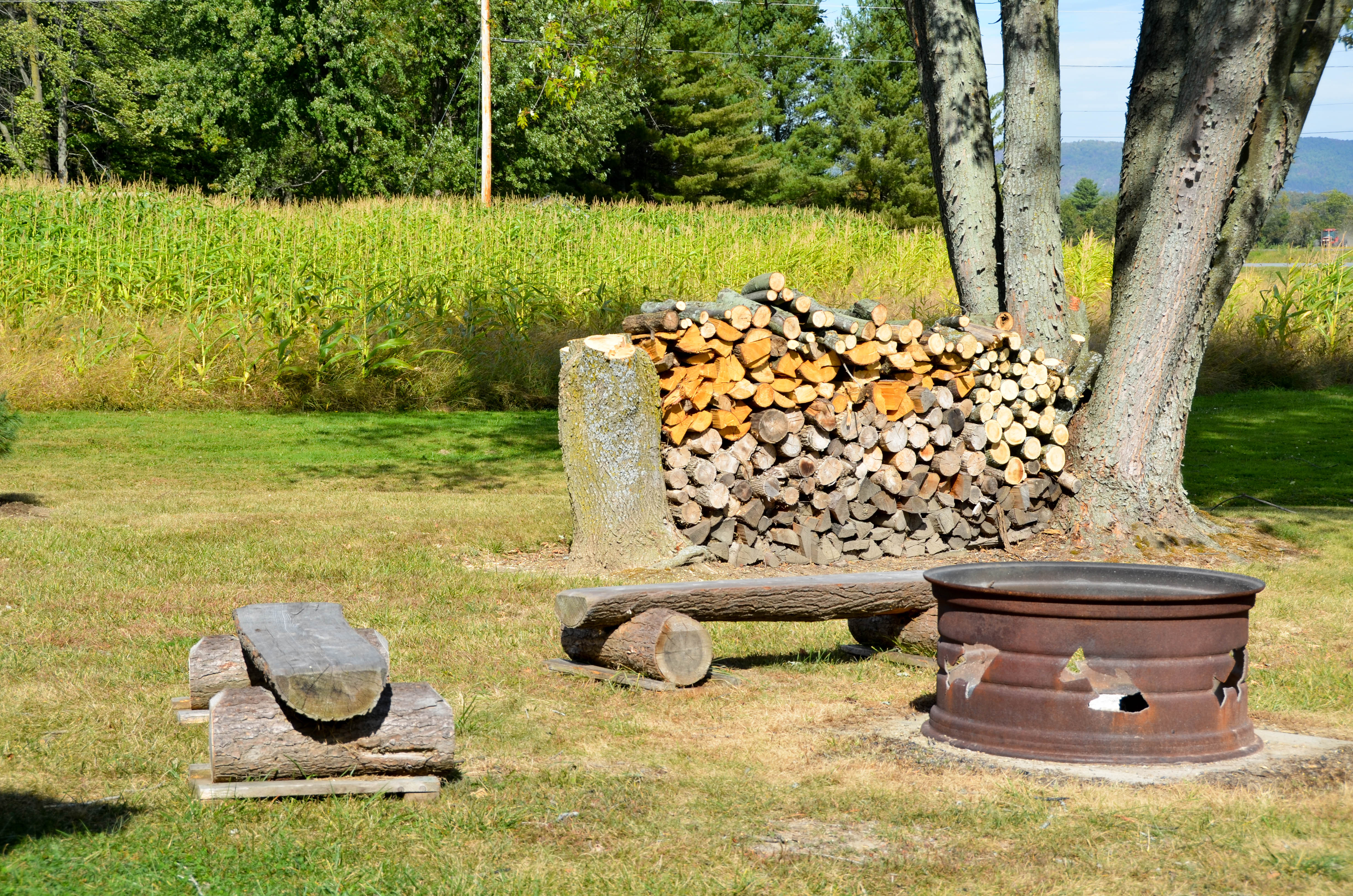 A group fire pit.