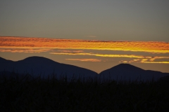 Bright clouds before dark.