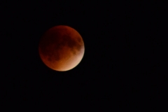 Then came back and I got out the tripod for the full eclipse.