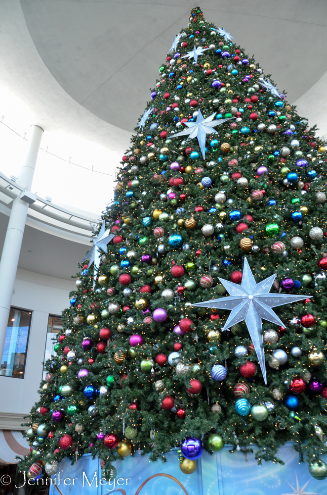 And a giant Christmas tree inside.