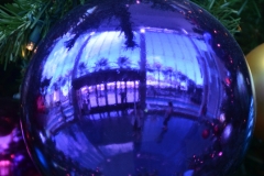Palm trees in a Christmas ball.