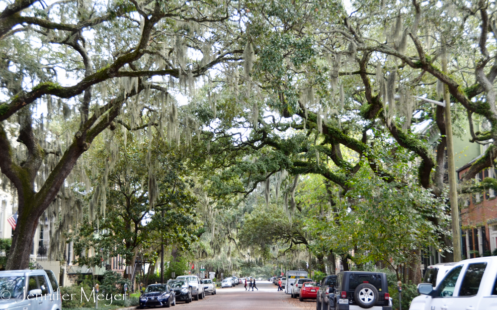 We walked down Jones Street.