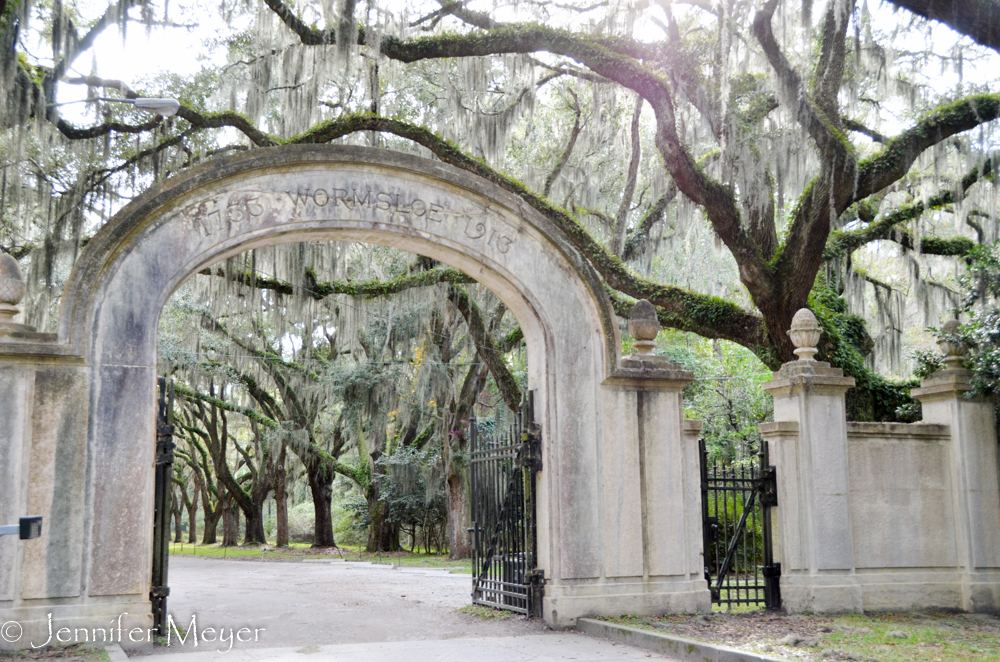 We drove out to Wormsloe plantation.