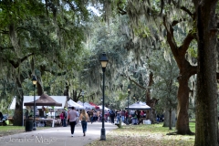 Saturday market stalls.