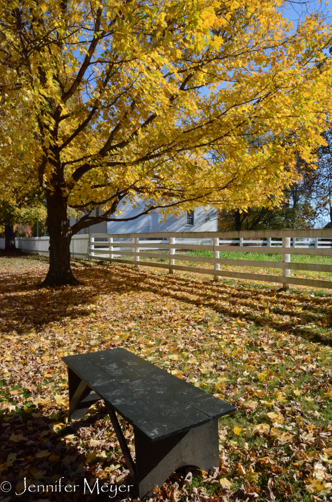 Main walkway in the village.