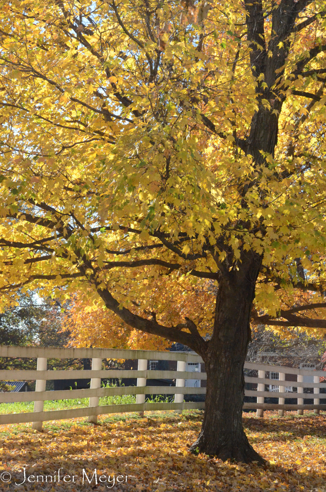 Beautiful grounds.