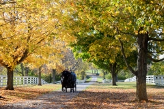 Wagon rides are offered.