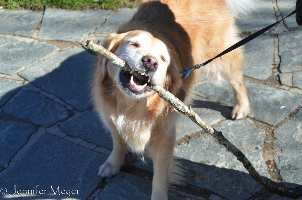 Nothing like a good stick!