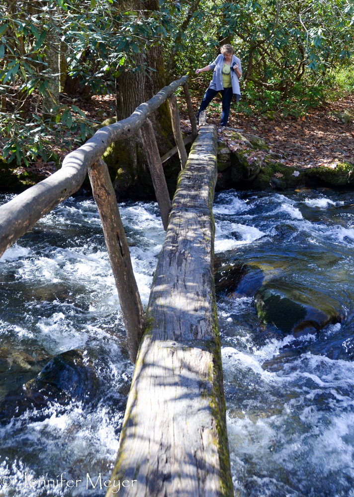 We went on a nature trail that required some bravery.