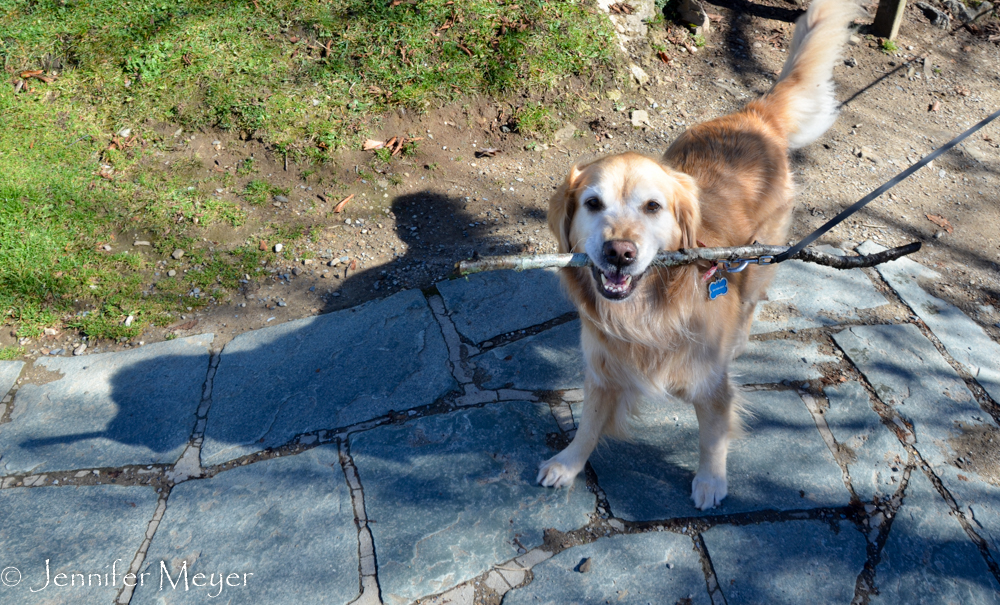 Bailey finds a souvenir.