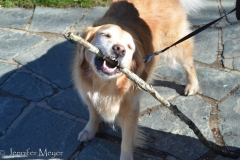 Nothing like a good stick!