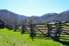Rail fences.