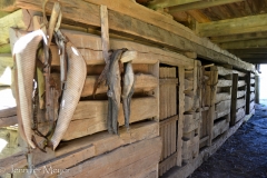 Horses collars by the stables.