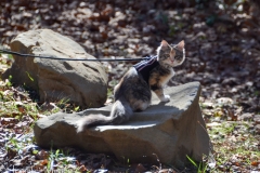 Back at the ranch, Gypsy was ready for some action.