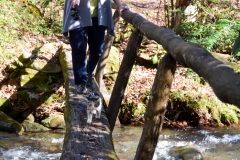 There were three bridges across water.