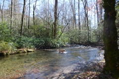 And wade in the creek.