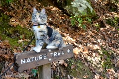 Queen of the Nature Trail!