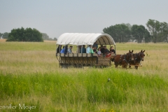 Wagons carried people out to the old schoolhouse.