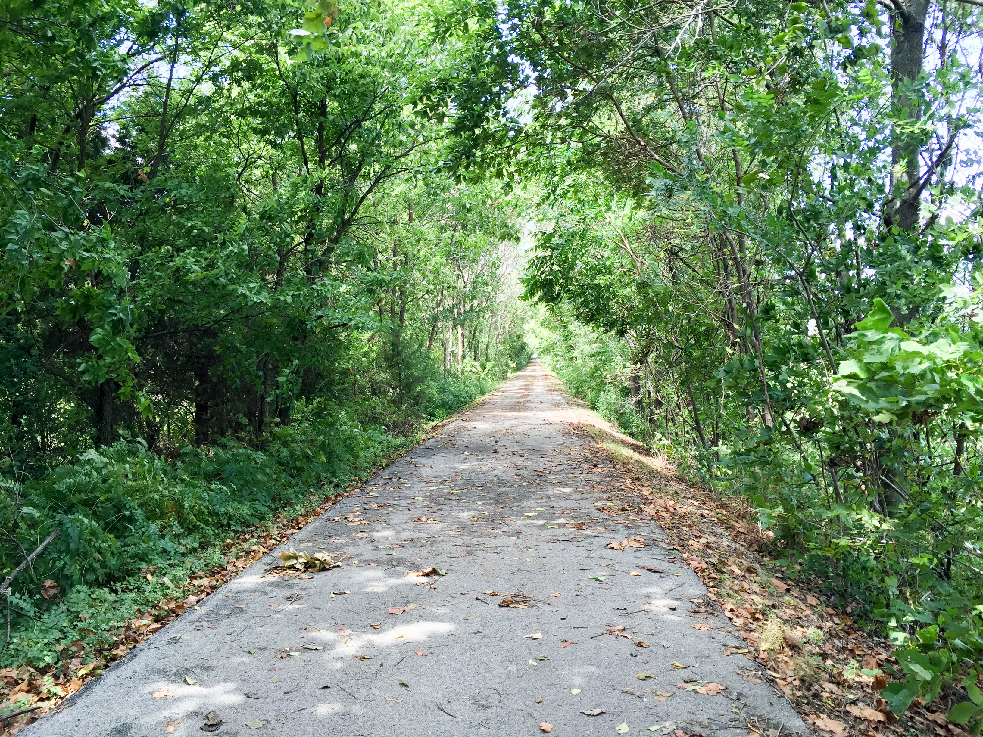 We discovered the Frisco Rails-to-Trails bike path.