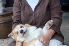 Neighbor Mary Sue and her corgie, Frisco.