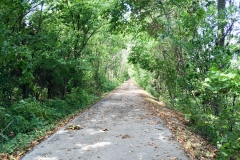 We discovered the Frisco Rails-to-Trails bike path.