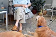 Dad and the dogs.