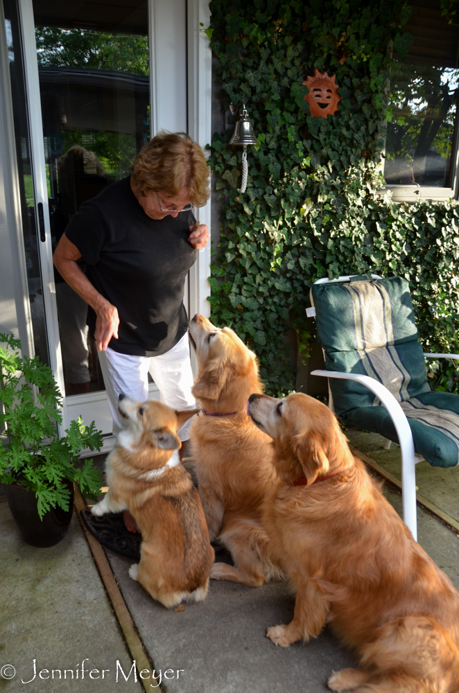 Bailey learned which doors to go to.