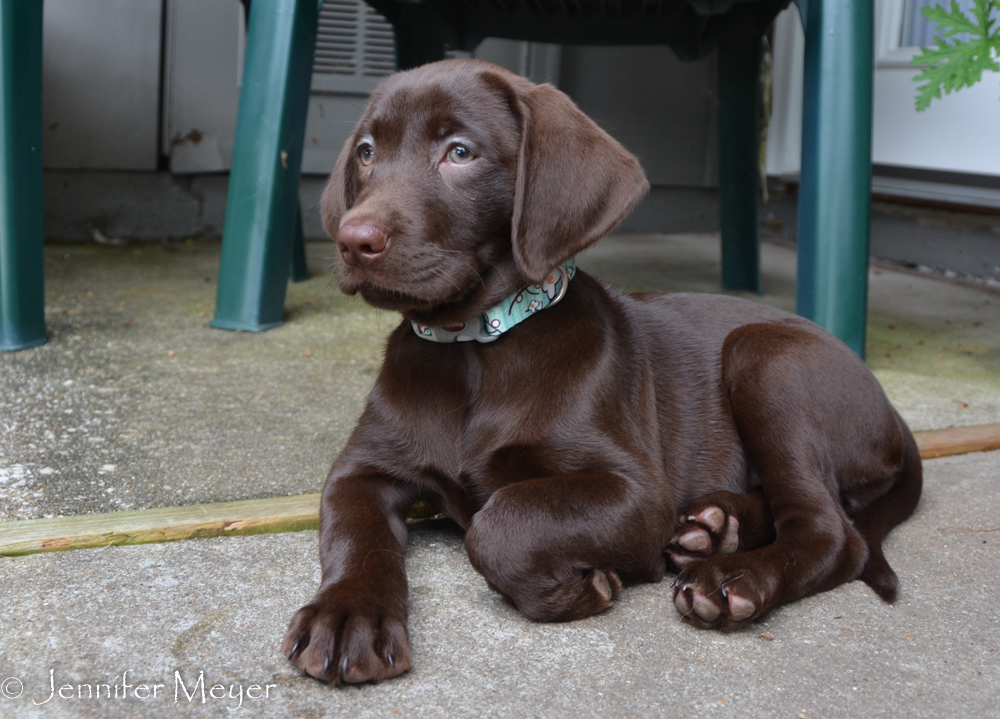 He was headed to a new home.