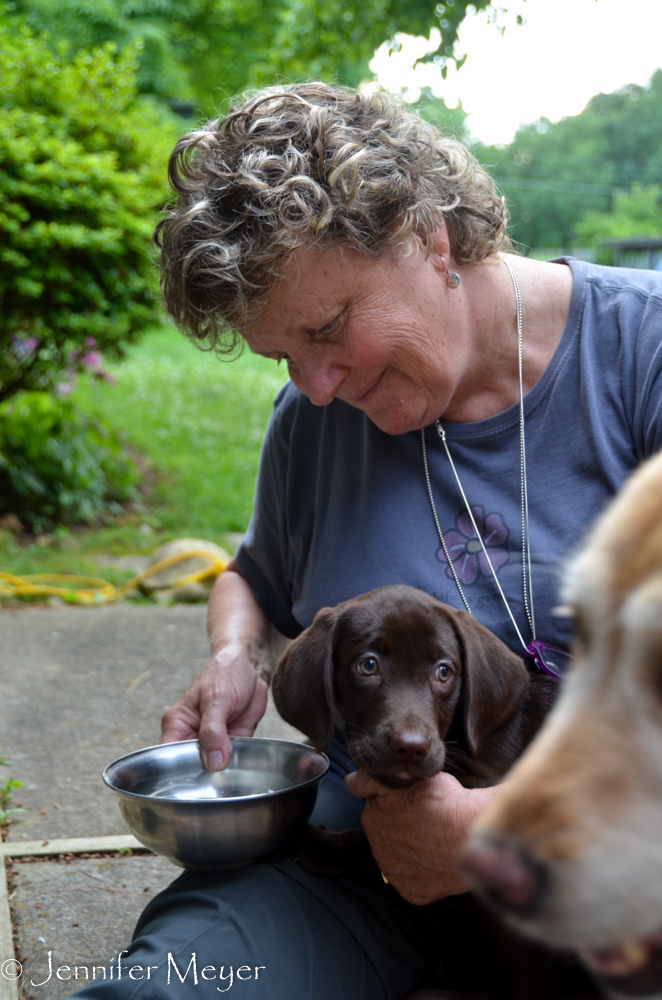 He was a little shy around all the other dogs.