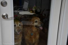 The girls her happy to see us return home.