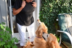 All the neighbors give her treats.