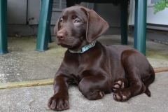 He was headed to a new home.