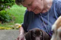 He was a little shy around all the other dogs.