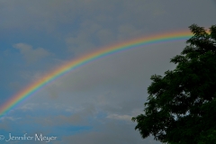 What an appropriate celebratory display.