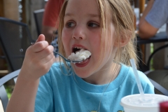 Lanie got carrot cake for dessert.
