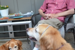 Bailey wears a tiara that Lanie put on her.