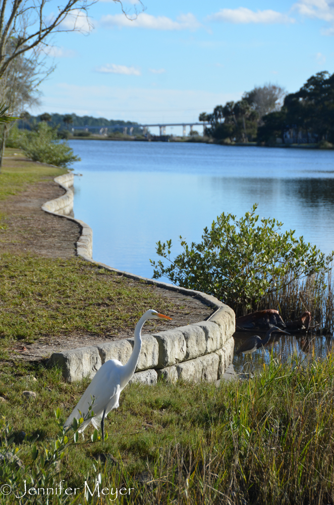 A little inlet in town.