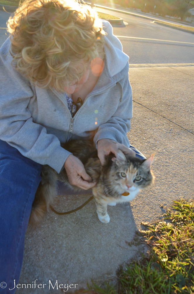 Plucking sand spurs off the cat.