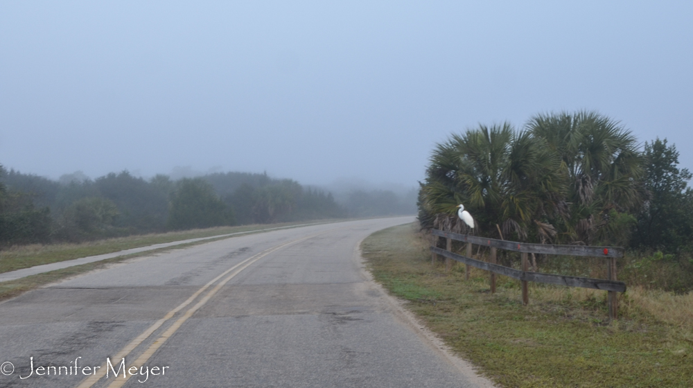 The next morning, I went for an early bike ride.