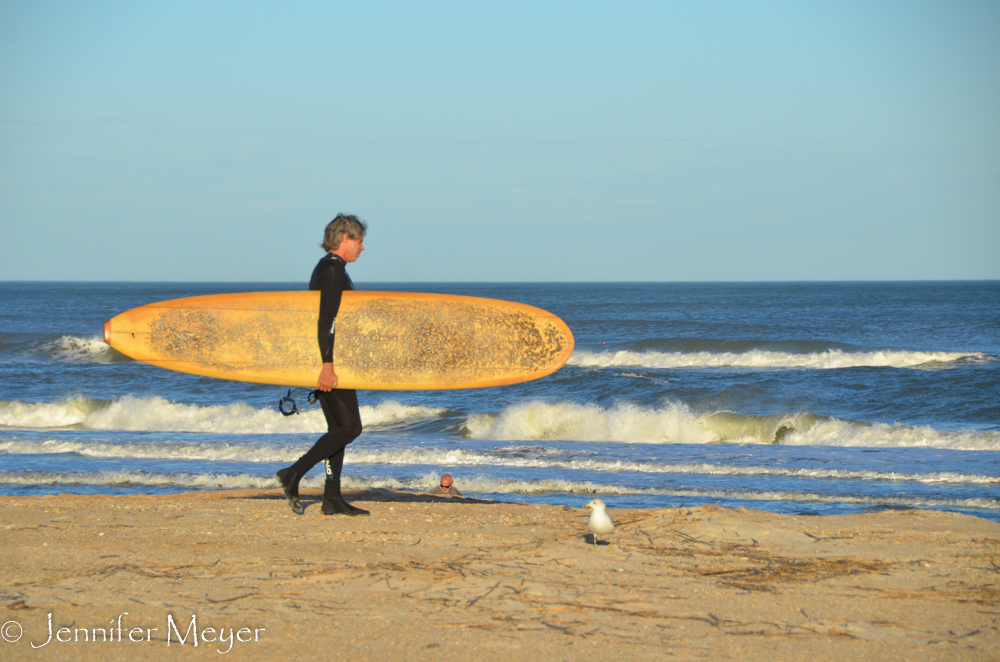 Gypsy is very suspicious of surf board people.