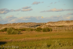 The wooden walkway takes you through low lands.