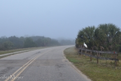 The next morning, I went for an early bike ride.