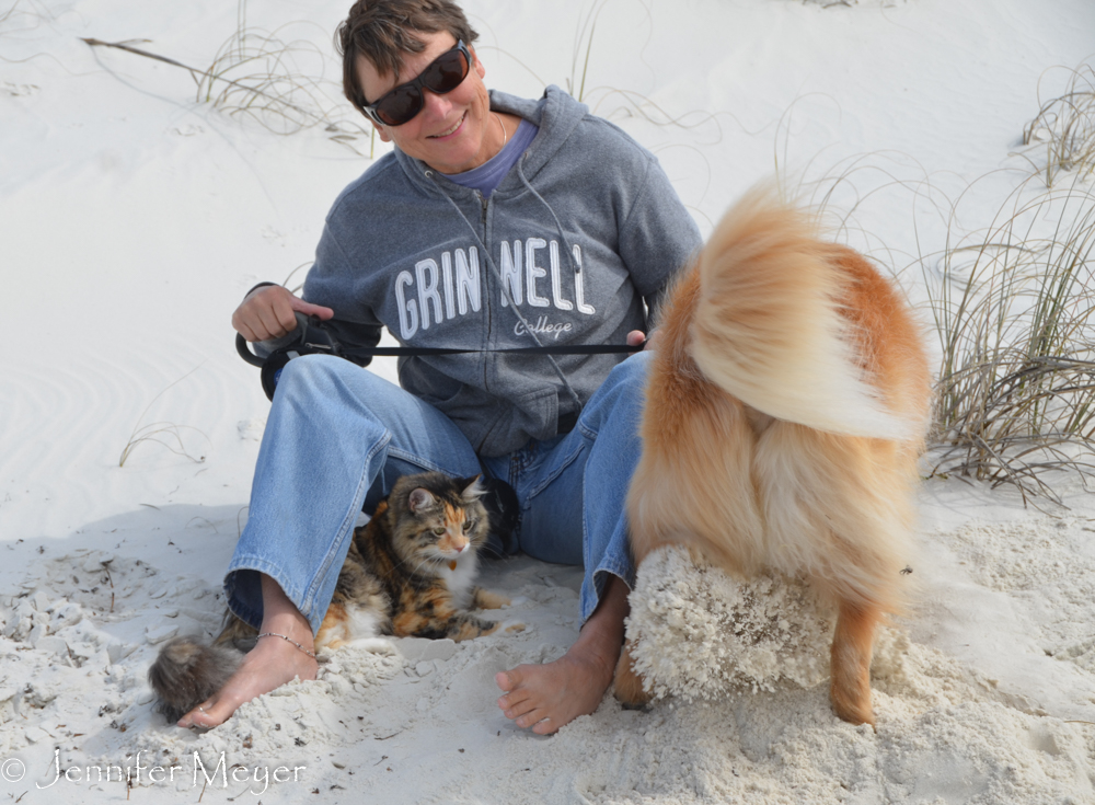 Bailey just wants to dig.