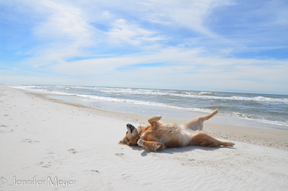 Bailey was in her element.