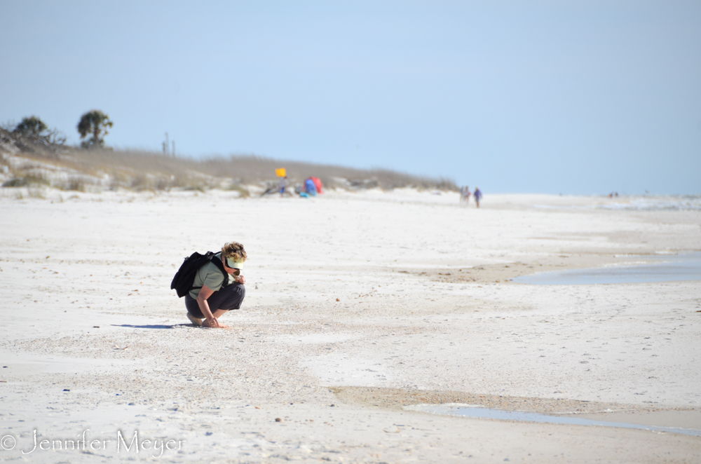 That afternoon, we walked on the state park beach.