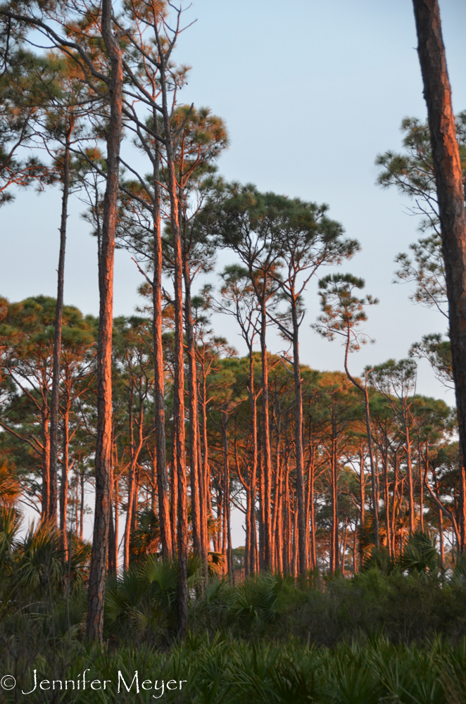 I returned to the beach for sunset.