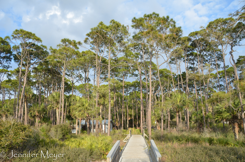Boardwalk from the campground to the beach.