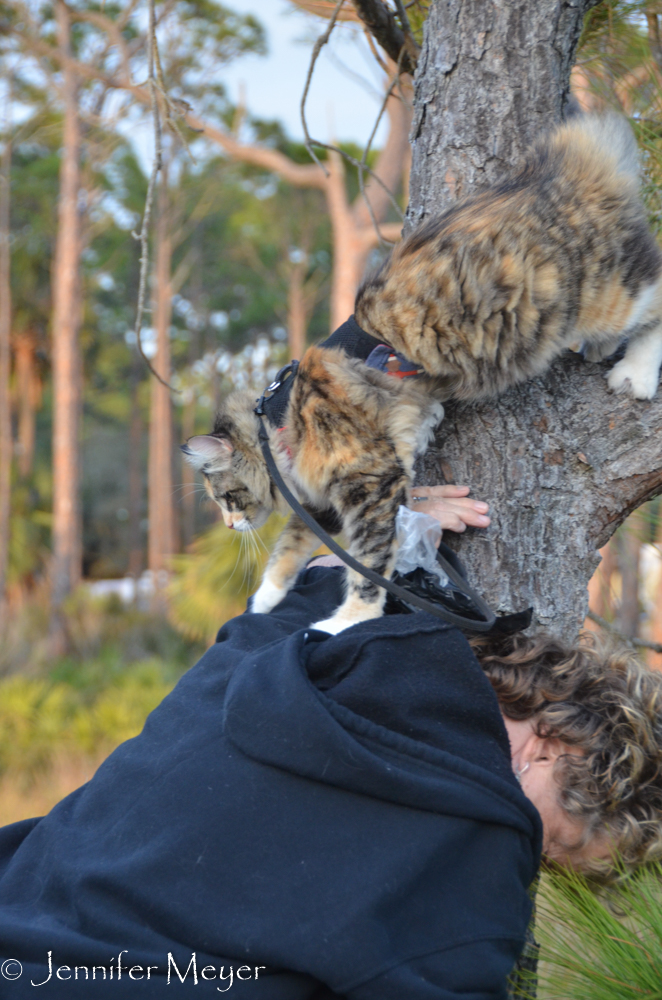 Taking the easy way down.