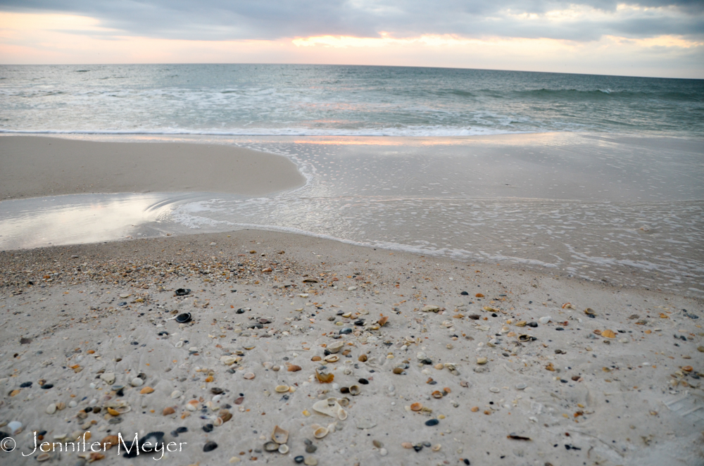 Good shells on the beach.
